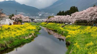 ランド ビュー / 40