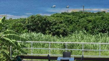 テラス / パティオ / 16