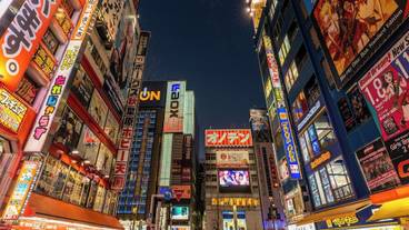 ランド ビュー / 14