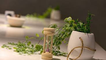 内装の詳細 / 14