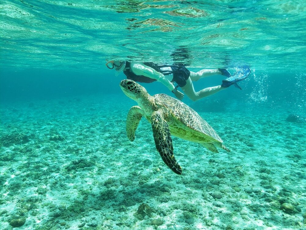 2棟の異なる客室から二人の好みをチョイス4248100