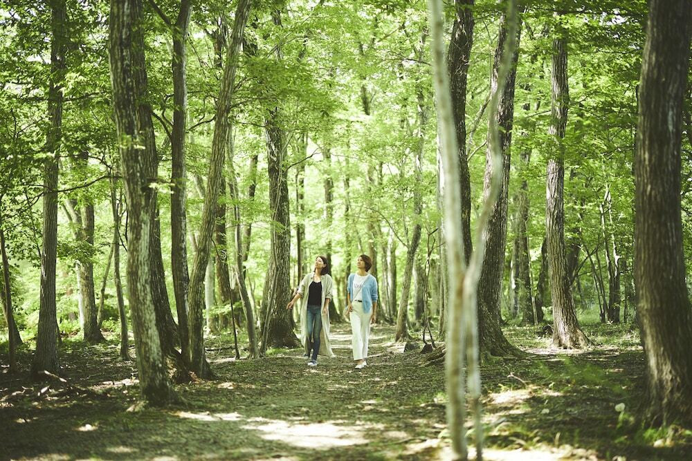 自然に囲まれながらのアクティビティでリフレッシュ3397145