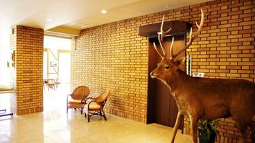 内装の詳細 / 10