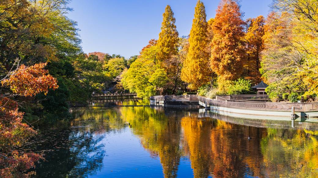 井の頭恩賜公園 / 1