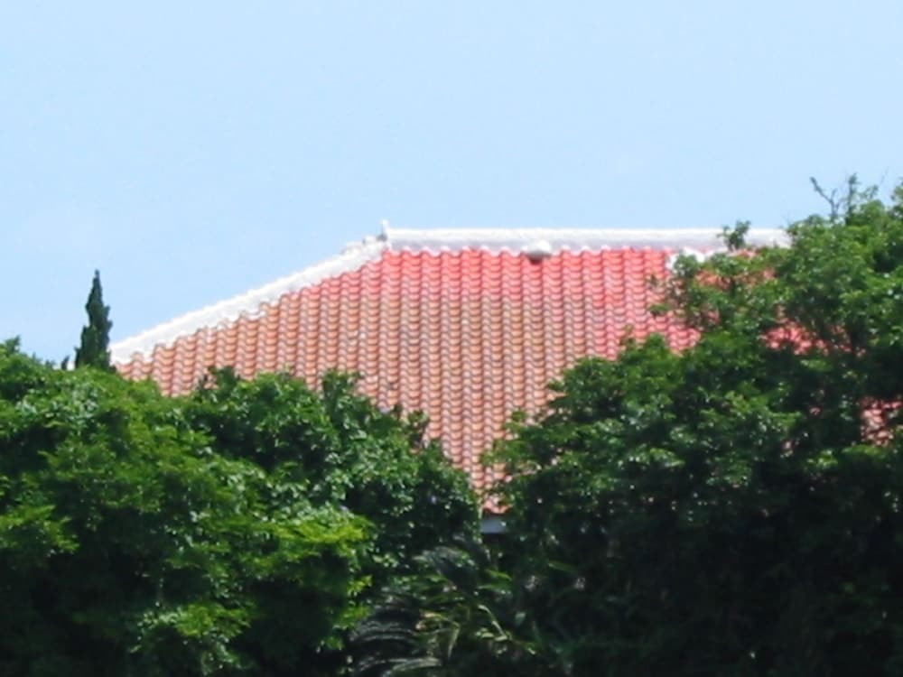 施設からの眺望