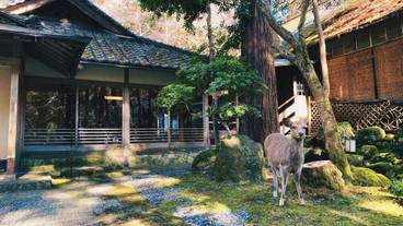 施設の敷地 / 18