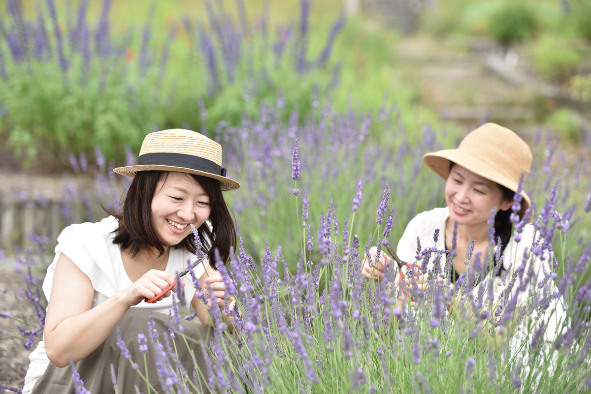 ハーブ香る癒しのホテルで心も体も喜ぶ朝食を4068184