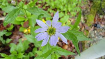 施設からの眺望 / 9