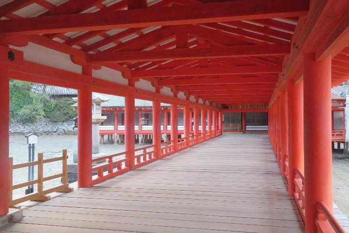 mariko771128さんの写真 / 2