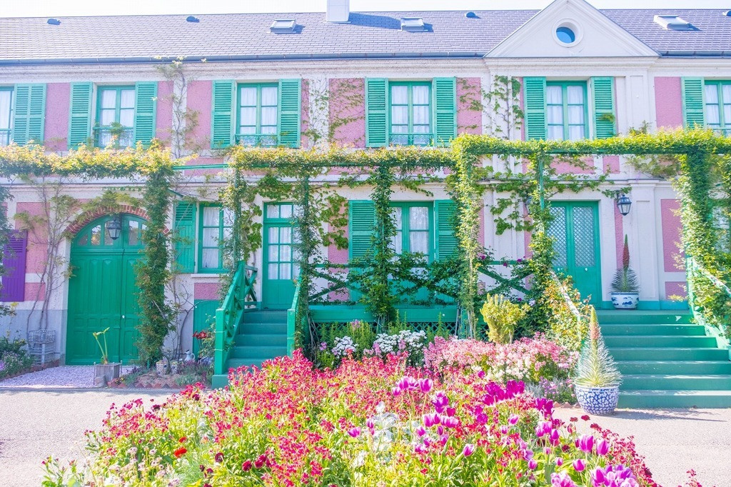 美しい花々に癒やされに浜松に行きませんか？3465189