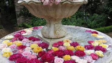 観光スポット / 3