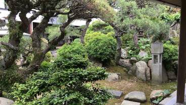 施設からの眺望 / 25