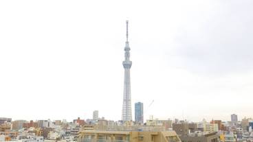 施設からの眺望 / 7