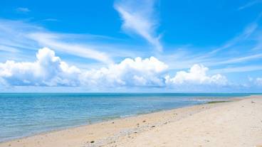 観光スポット / 10