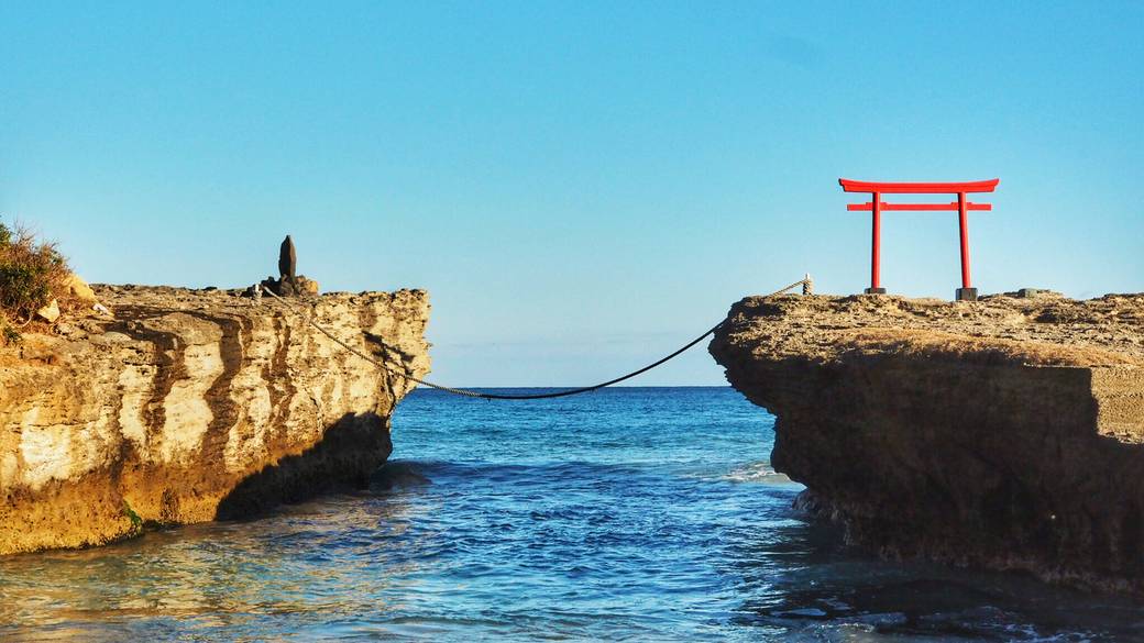 下田の名所といえば
「白浜神社」 / 1