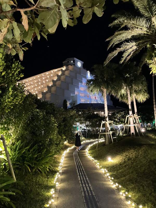 mignon_2015さんの写真 / 2