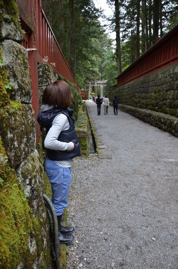 興味のおもむくままに日光を散策…女一人旅のすすめ4086564