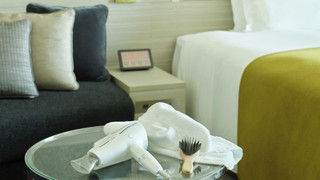 スーペリアビューバスクイーン (喫煙可)