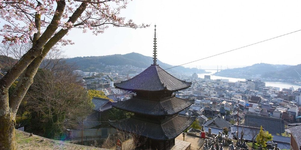 施設からの眺望