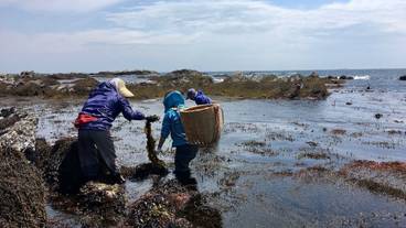 エコツアー / 17