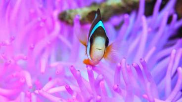 スポーツ場 / 12