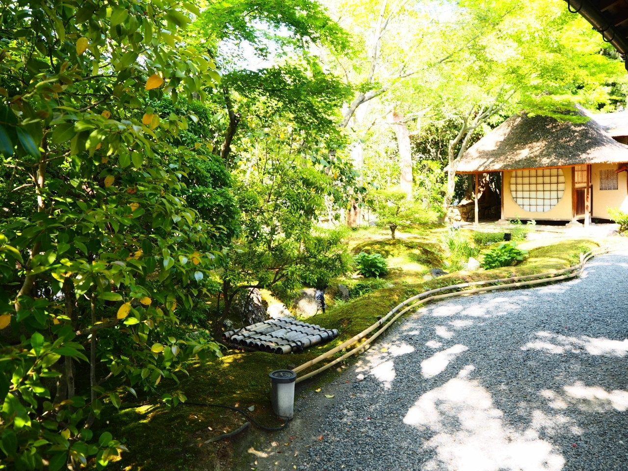 高台寺（こうだいじ）1584137