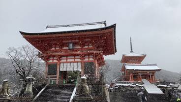 観光スポット / 12