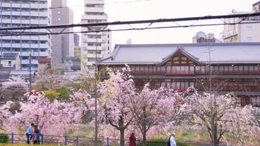 施設からの眺望 / 8