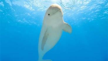 観光スポット / 1