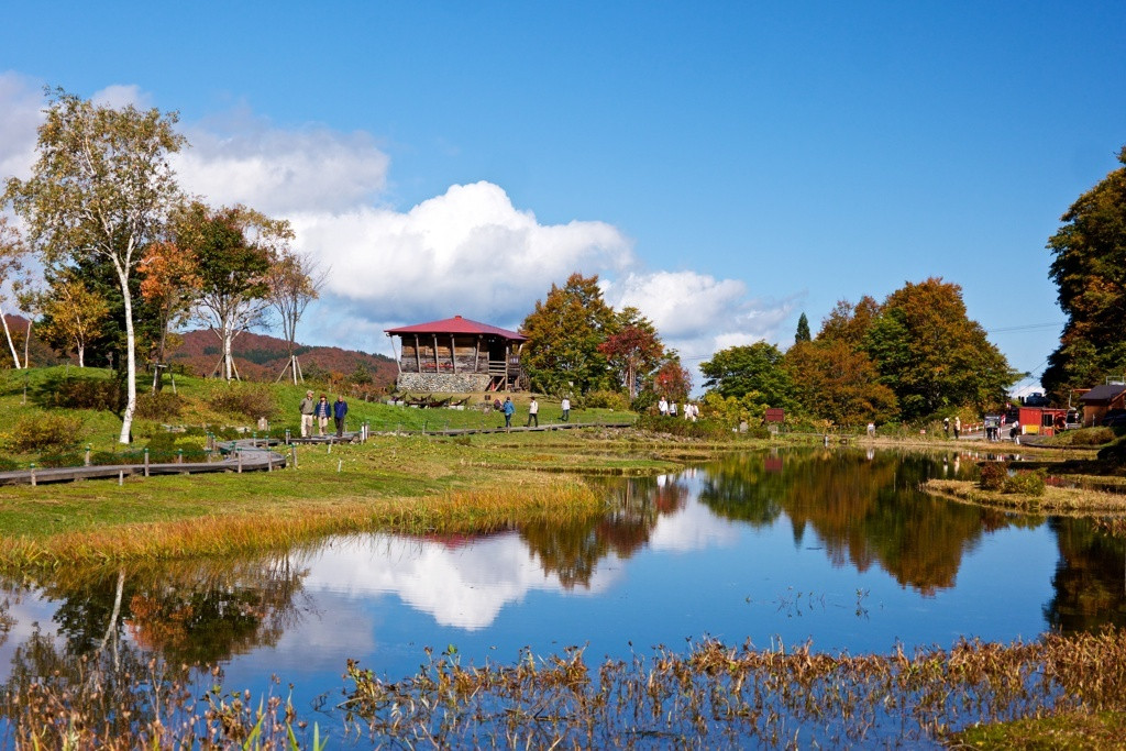 こちらで観光♪春から秋は自然散策・冬はスキー「湯沢高原」4244933