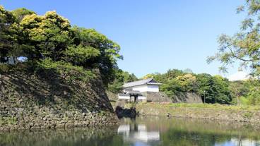 観光スポット / 8