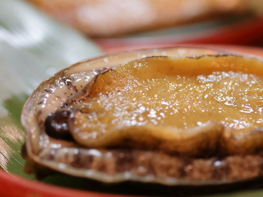 稲取赤尾ホテル(イナトリオンセン カシキリブロノヤド アカオホテル カイフウロウ) / 5