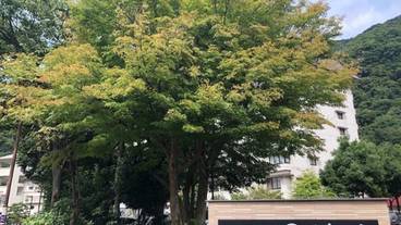 施設の入り口 / 2