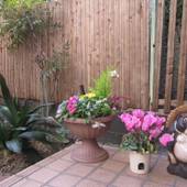 えんまんゲストハウス大阪(大阪府 ゲストハウス・ホステル・ドミトリー) / 4