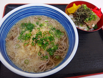 「白河そば」料理 595916 たぬきそば（470円）