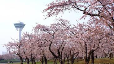 バスルーム / 15