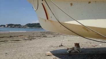 観光スポット / 6