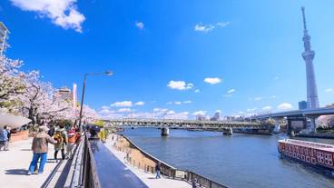 観光スポット / 8