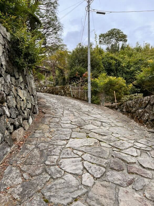 aoyuuzさんの写真 / 6