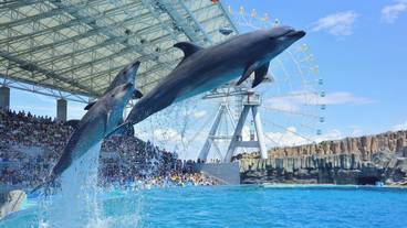 観光スポット / 10