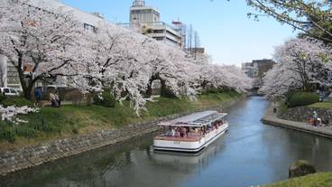 施設からの眺望 / 17
