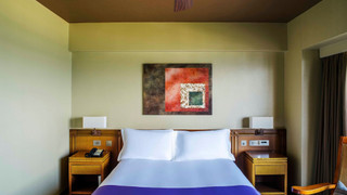 ルイガンズ　ダブルルーム　禁煙 (6-7F) 33m2