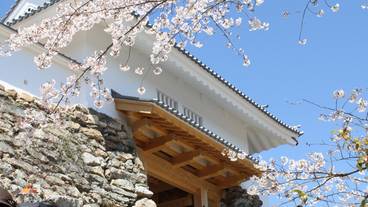 Hamamatsu Castle castle gate / 7