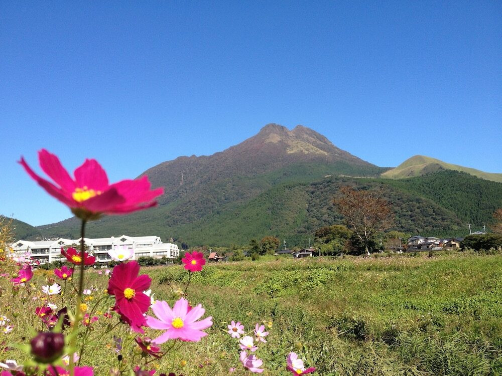 マウンテン ビュー