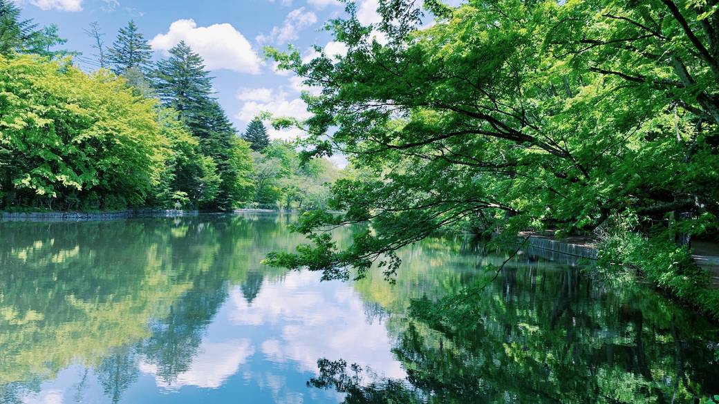 レンタサイクルで
「雲場池」へ / 1