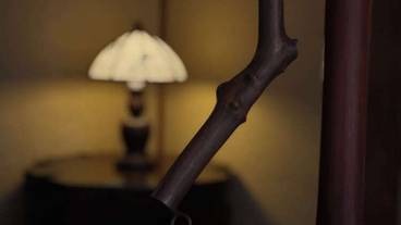 リビング エリア / 22