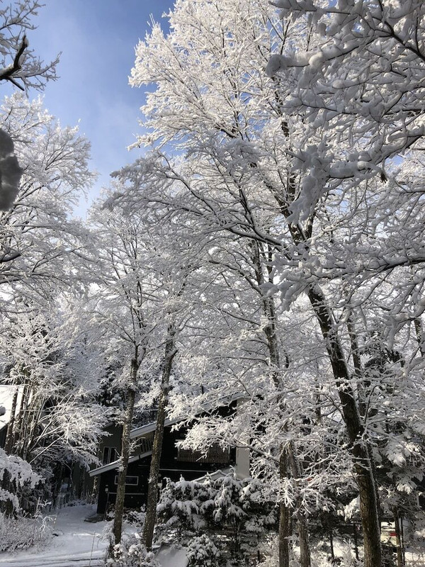 施設からの眺望