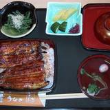 志ぶき（シブキ）