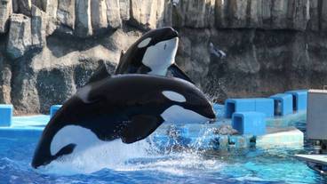 観光スポット / 19