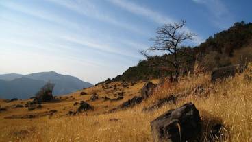 マウンテン ビュー / 21